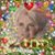 Misty Gladney Mulkey's profile image