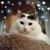 Tina Dimitros's profile image