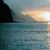 Debra Youmans's profile image