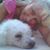 Marci Dana's profile image