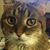 Mike Jeffers's profile image