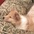 Leigh Anne Bates's profile image