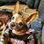 Pamela Davenport's profile image