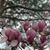 Susan Michal Glass's profile image