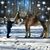 Sandra Lee Smith Houle's profile image