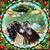 Sandi Lancaster Leonard's profile image