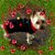 Kerry Lee Nelson's profile image