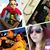 Catie Hensley's profile image
