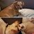 Melanie Vidlak's profile image