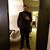 G Eduardo Orozco's profile image