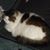 Ruth Vincent Masker's profile image