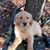 Bobbi Staley's profile image