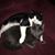 Tanya L Gaudette McLeod's profile image