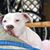Bradford Lyons's profile image