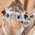 Nancy Bonsack's profile image