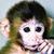 Adam Beddoes's profile image