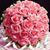 Claudia Decelien's profile image