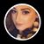 Ashley Drain Robbins's profile image