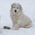 Katie Fritzler's profile image