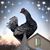 Timothy A Smith's profile image