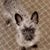 Betsy Fisher's profile image
