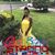 Maia Washington's profile image