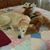 Elizabeth Augustyn-Abhold's profile image