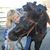 Connie Gibbs's profile image