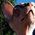 Dawn DeFalco's profile image
