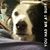 Debra Wiley's profile image