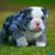 Tina Whittle-Stocks's profile image