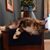 Karen Clay Winston's profile image