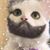 Nei Neto's profile image