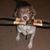 Ed Yozwiak's profile image