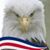Gina Bendixen Schaal's profile image