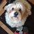 Jill Lynn Kolstad's profile image