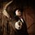 Chris Trina Christopher's profile image