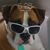 Lorri Childers's profile image