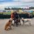 Ray Shanklin's profile image