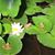 Dawn Hamlin Middendorff's profile image