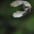 Jose R Perez Irizarry's profile image