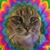 Adam Osmak's profile image