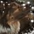GeriLynn Weills's profile image