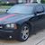 Tim Lisa Elmore's profile image