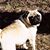 Sandy Kehl's profile image