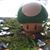 Natasha Schwarting's profile image