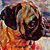 Maryann Ostermeyer's profile image