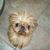 Kathy Viken's profile image