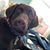 Margo Moran's profile image