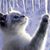 Debbie Cervenka Nies's profile image